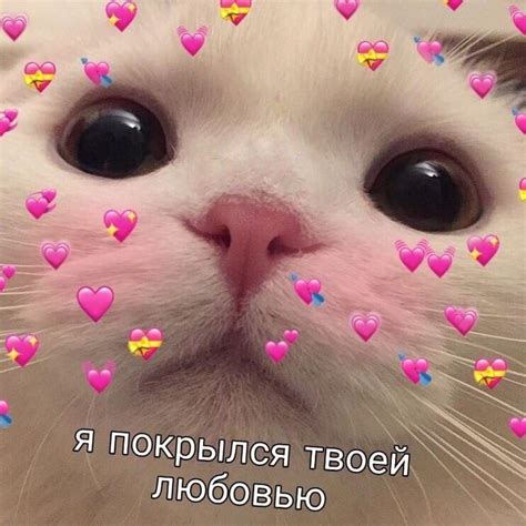 люблю тебя | Cute love memes, Happy memes, Hello memes