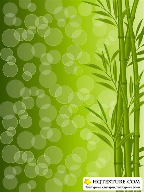 Фон с бамбуком | Background with a bamboo » Векторные клипарты ...