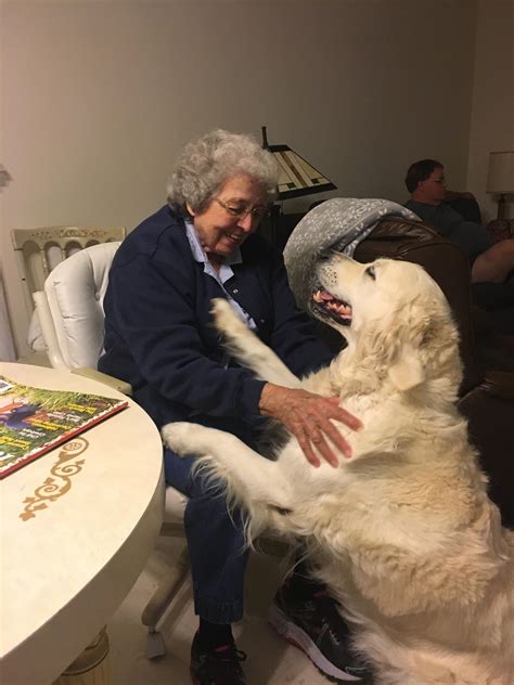 Grandma and her dog having a moment : r/aww