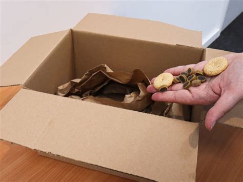 How To Reuse Old Items Into Amazing Dog Toys