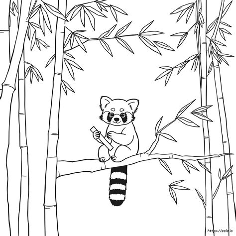 Coloriages De Pandas Roux