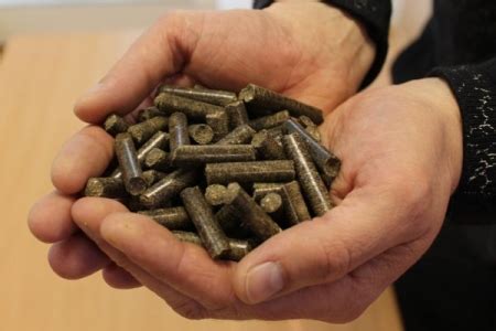 Гранулы из отработанных грибных блоков - Новости - Спико