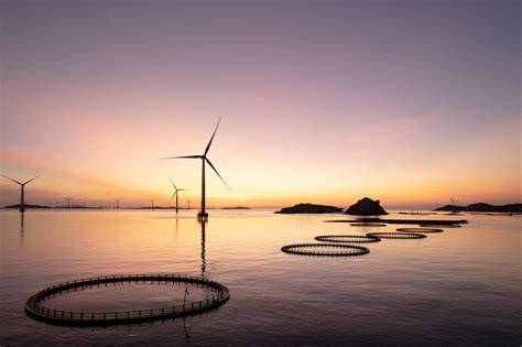 Sustainable Fish Farm