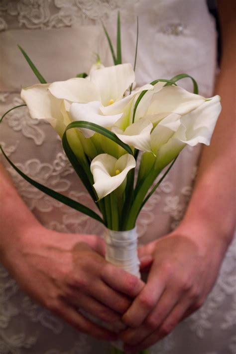 beauty  significance  memories calla lily lilly geek