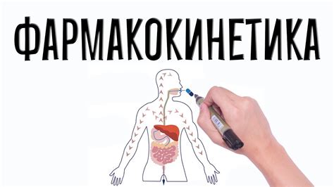 Фармакология. Фармакокинетика (простым языком). - YouTube