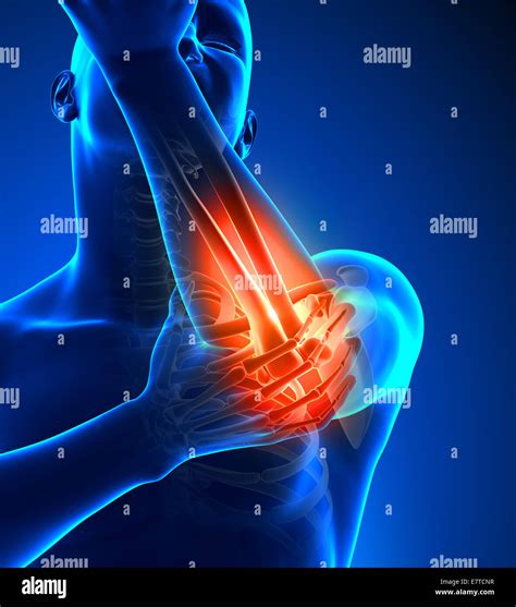 elbow  ray  res stock photography  images alamy