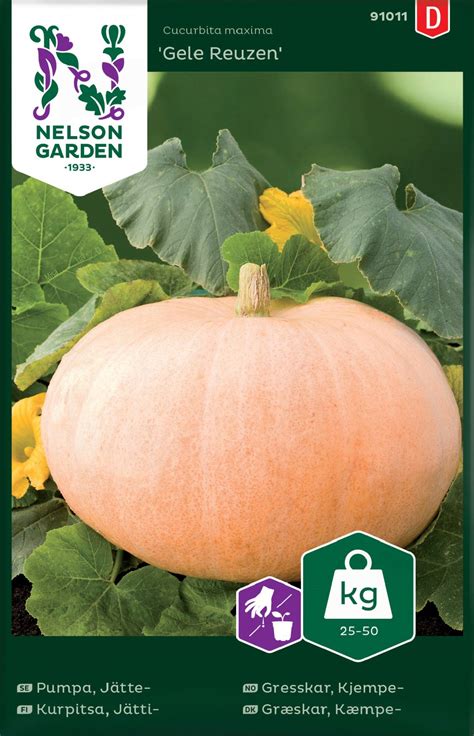 JÄTTIKURPITSA GELE REUZEN Cucurbita maxima - Puutarhakeskus Jaakkola ...