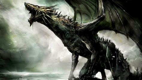 black dragon illustration artwork dragon fantasy art concept art hd