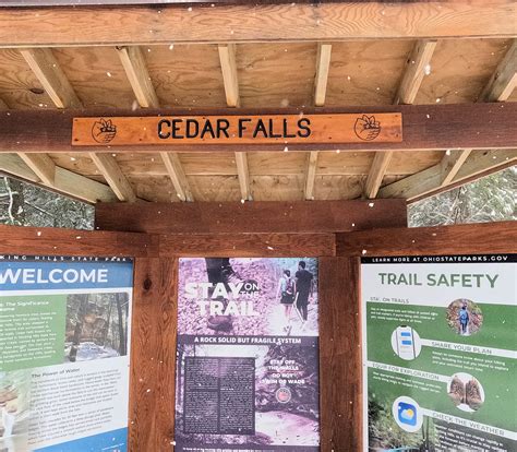 Shoppers clash over Walmart Cedar Falls self checkout changes 11