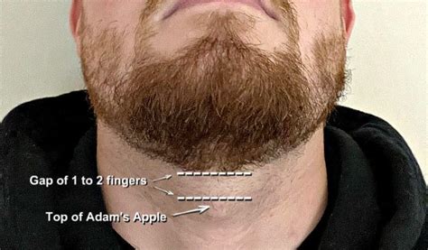 beard neckline   find trim shape   home guide