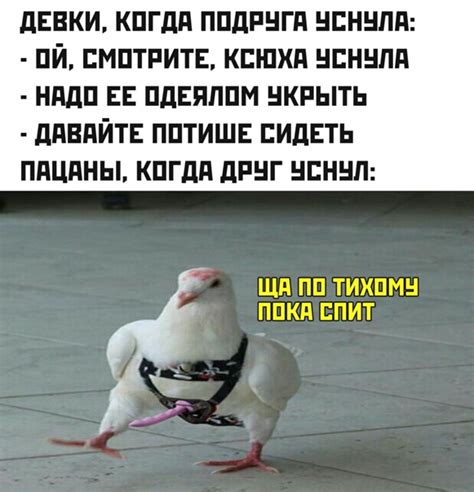 мемы для пацанов | ВКонтакте