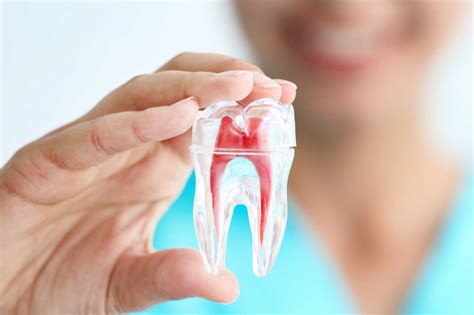 endodontics bg westside orthodontics  family dentistry