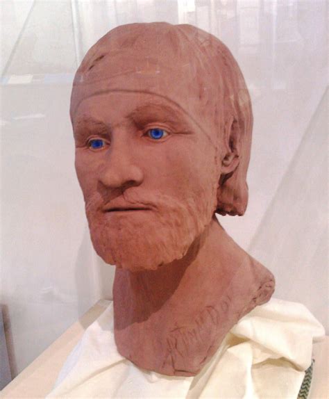 facial reconstruction  vikings historum history forums vikings