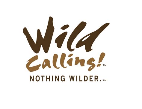 dog  love wild calling dog food review  wild life