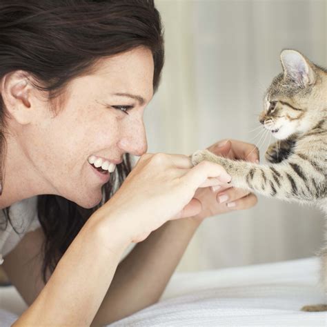 These 5 Cat Breeds Are Shockingly As Big As Dogs, Vets Say - Parade Pets