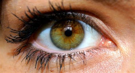 hazel? | Green brown eyes, Hazel green eyes, Hazel brown eyes