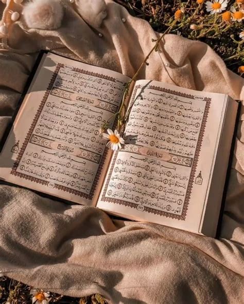 kuran quran kitap manifest islam ile ilgili resimler kuran fotograf