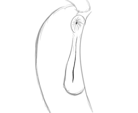 Rule 34 - anatomically correct animated anus ass black and white