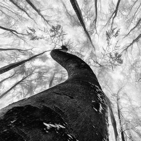 Чёрно-белая фотография | Черно-белая фотография, Белая фотография ...