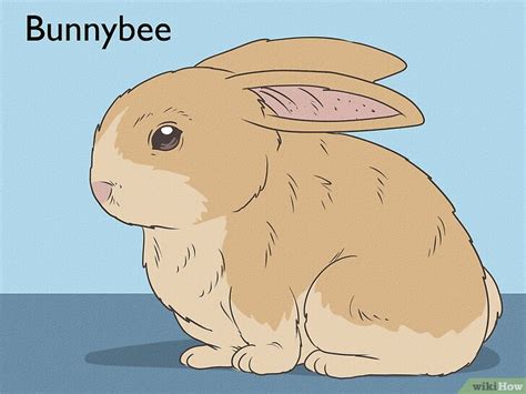 350+ Cute Bunny Names for Pet Rabbits