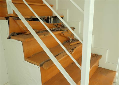 Get Reliable Termite Removal Services in Culver City, CA!