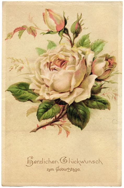 Pin by Творческая мастерская "Уютный on Винтаж. Розы | Clip art vintage ...
