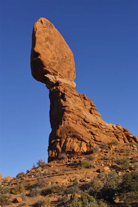 Website guides show how NY NP license lookup tools actually work 2