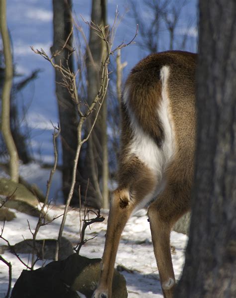 Animal Porn - Pentax User Photo Gallery