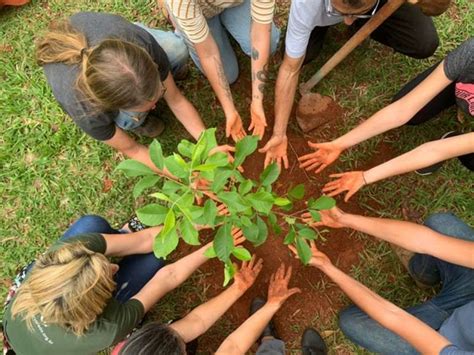 Ongs E Meio Ambiente - Empresas e ONGs: juntas pelo meio ambiente