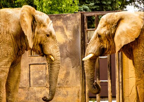 ZOO Zlin and Chateau Lesna - Experience Europe