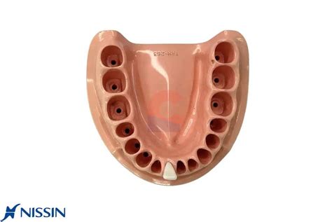 Nissin B1A Perio Typo 41 - New Citizens Dental Supply and General ...