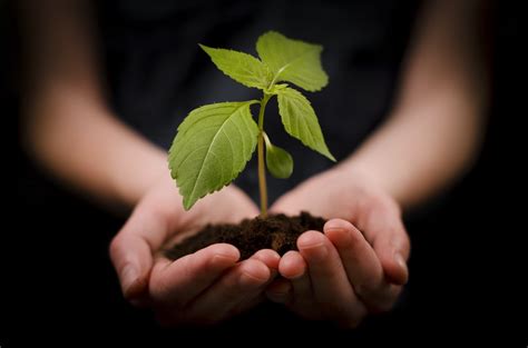 secret  managing rapid growth