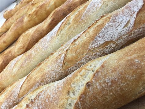 baguette life  young gastronome