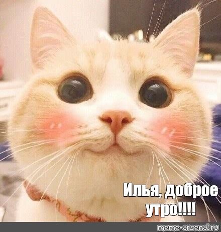 Мем: "Илья, доброе утро!!!!" - Все шаблоны - Meme-arsenal.com