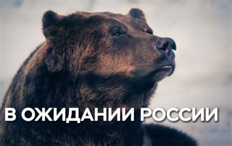Бытовой сепаратизм в ожидании России