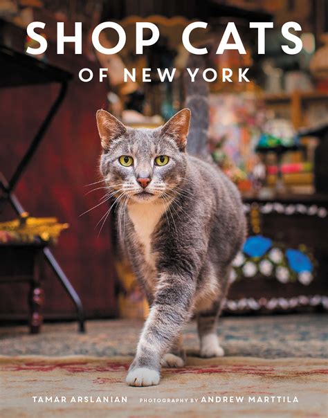 My Book!!! | I Have CatI Have Cat