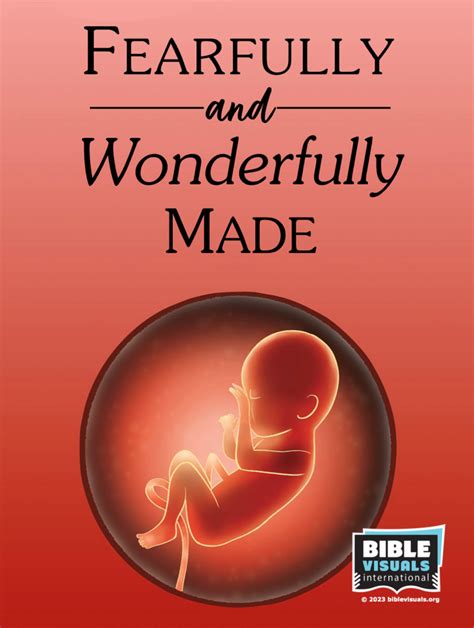 5710 Fearfully and Wonderfully Made - Bible Visuals International