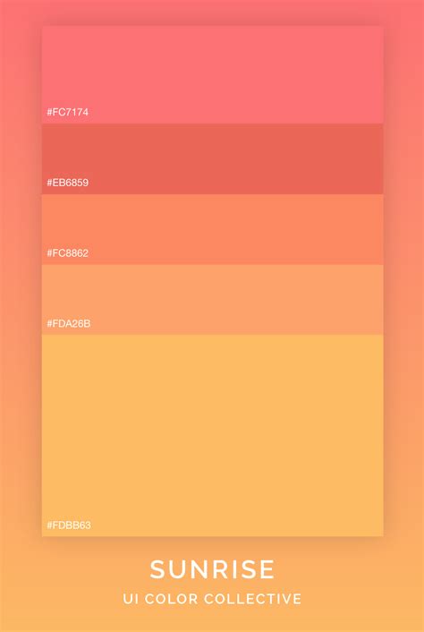 Sunrise Color Palette