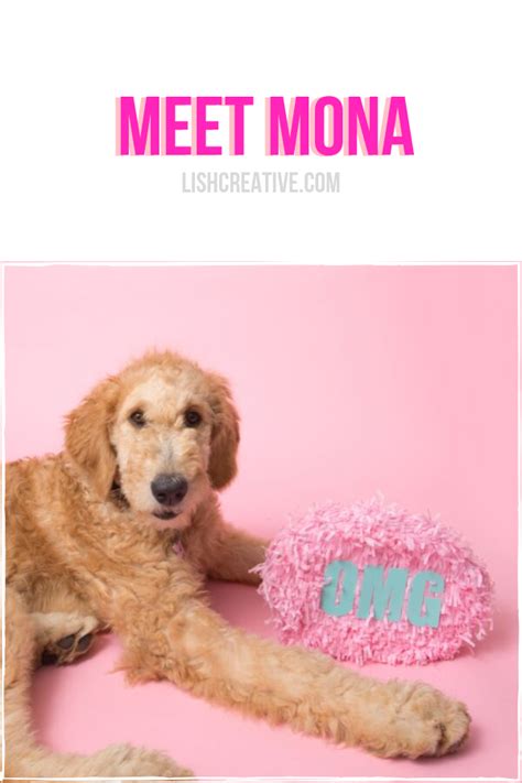 Meet Mona - LISH Creative
