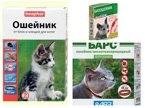 Ошейники от блох для кошек: отзывы, как действуют и как выбрать