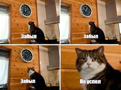 Создать комикс мем "пора мем с котом, мем кот часы, мем с котом и ...