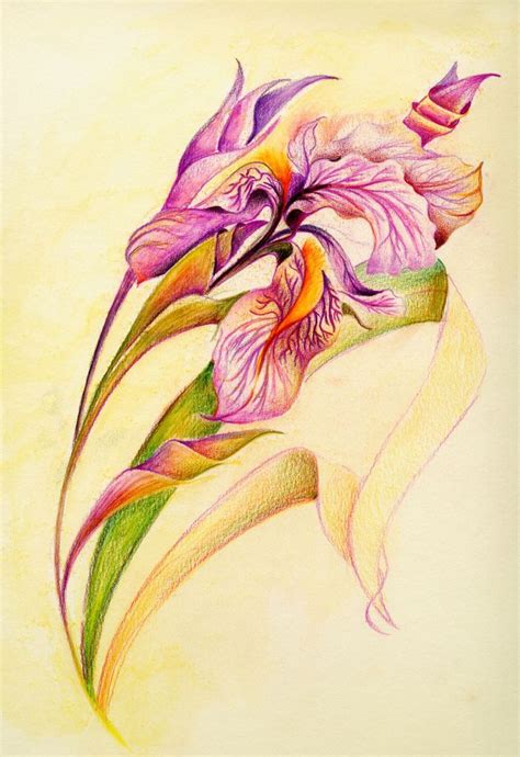 Ирисы рисунок акварелью, цветными карандашами и гуашью.