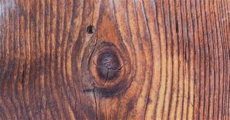 Chechen Wood | Uses, Advantages, and Disadvantages