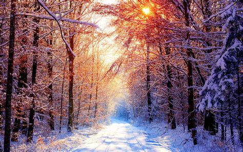 Winter Nature Wallpapers - Top Free Winter Nature Backgrounds
