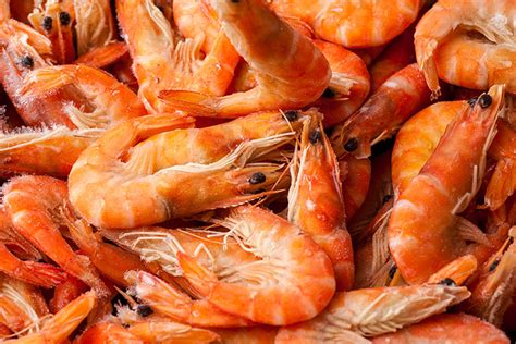 10 Best Seafood Markets in South Carolina!