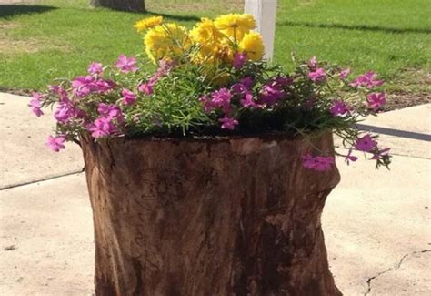30 Amazing Tree Stump Planter Ideas For Your Garden | Decor Home Ideas