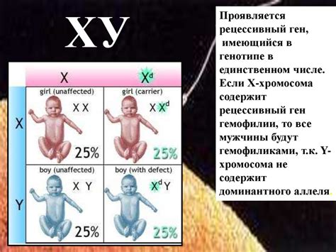 Определение пола. Наследование признаков, сцепленных с полом ...
