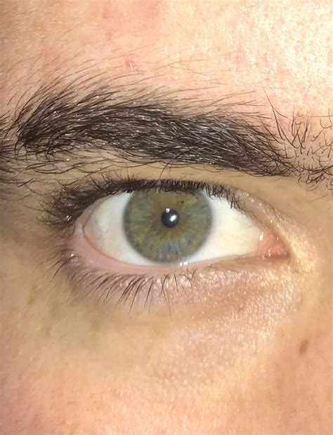 Hazel eyes? : r/eyes