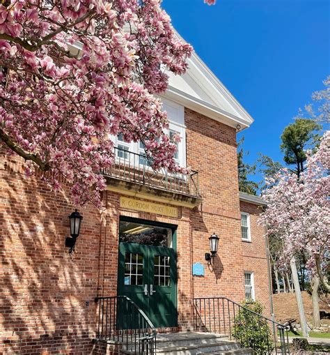 Long Island University Rankings 2025