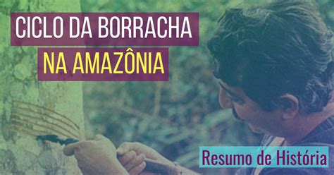 Quais As Principais Consequências Do Ciclo Da Borracha
